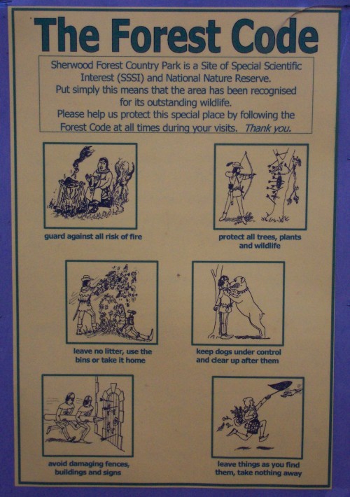 A special guide for all those little unruly teenage children that visit, Sherwood Forest (2006)