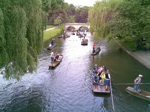 Lots of people 'bunting', Cambridge (2006)