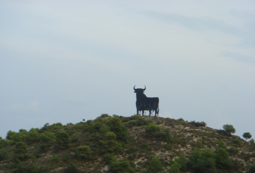 That's one big bull, no bull, Spain (2006)