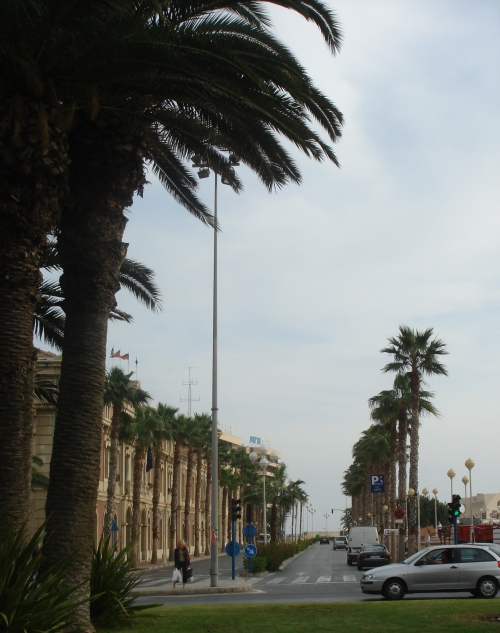 Big palm streets! Spain (2006)