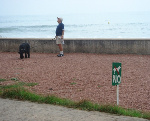A tourist with his dog, he obviously can't understand the Spanish signs, Spain (2006)