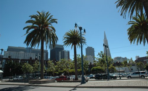 A lovely sunny day (around 100F) for walking around town. San Francisco (2007)